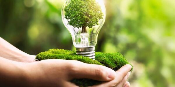 6 Manfaat Gaya Hidup Berkelanjutan bagi Lingkungan Jangka Panjang ...