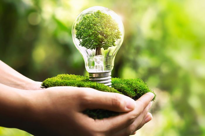 6 Manfaat Gaya Hidup Berkelanjutan bagi Lingkungan Jangka Panjang ... 6 Manfaat Gaya Hidup Berkelanjutan bagi Lingkungan Jangka Panjang ...